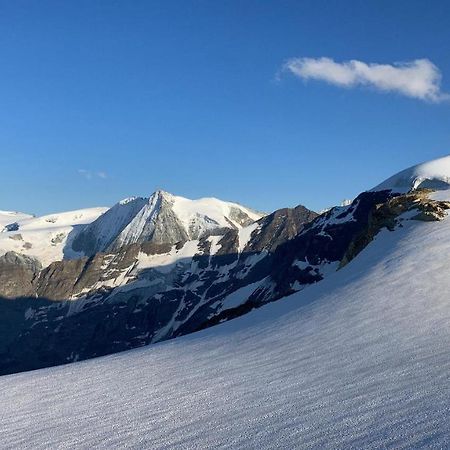 Hotel Grand-Combin Fionnay Εξωτερικό φωτογραφία