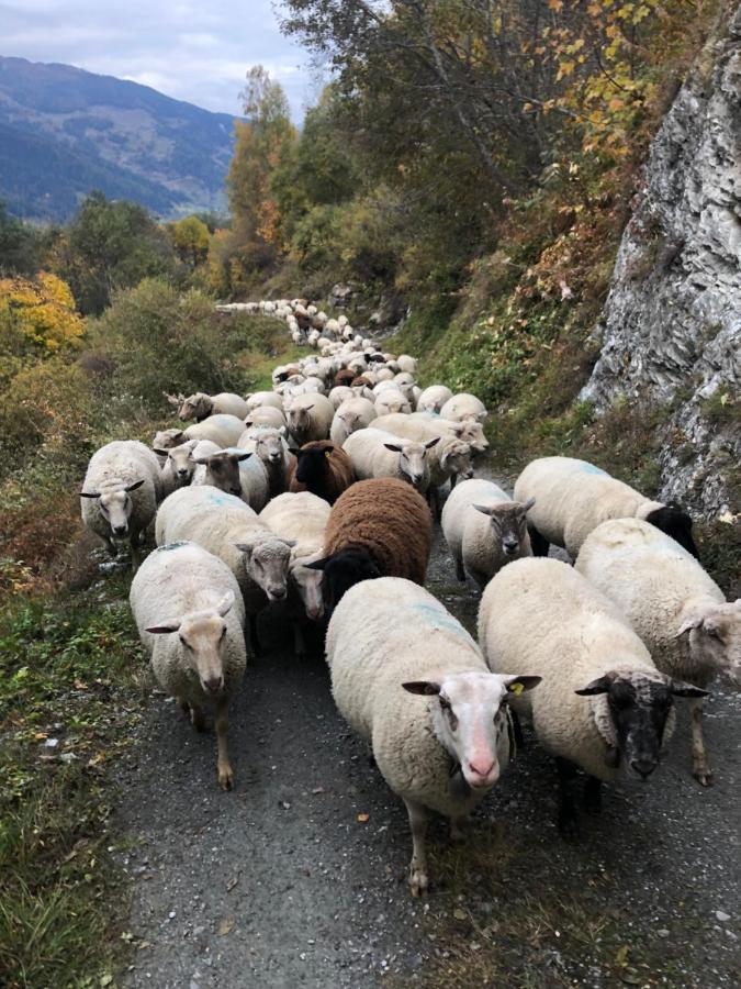 Hotel Grand-Combin Fionnay Εξωτερικό φωτογραφία