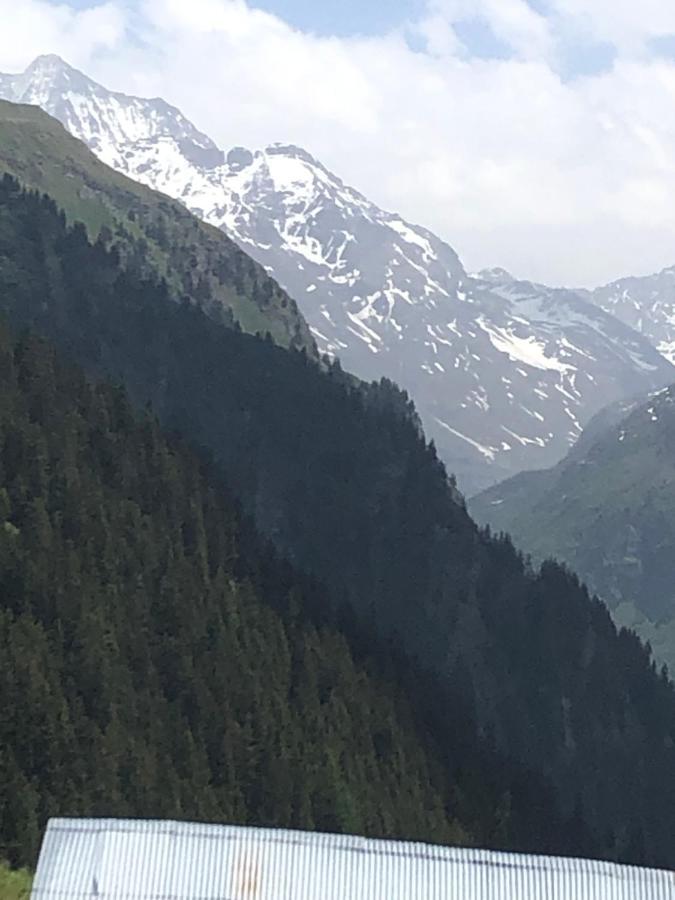 Hotel Grand-Combin Fionnay Εξωτερικό φωτογραφία